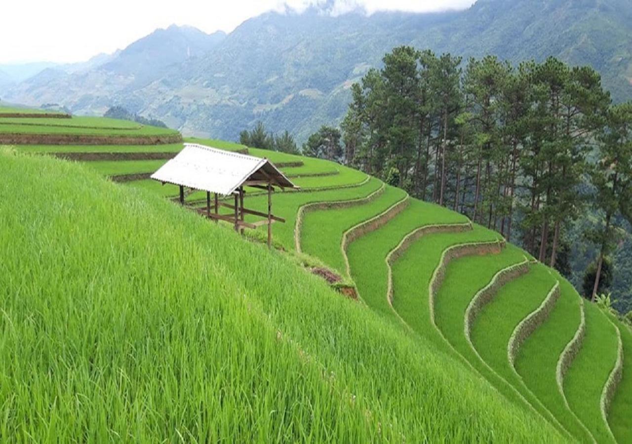 Lapantan Paradise Mu Cang Chai Exterior photo